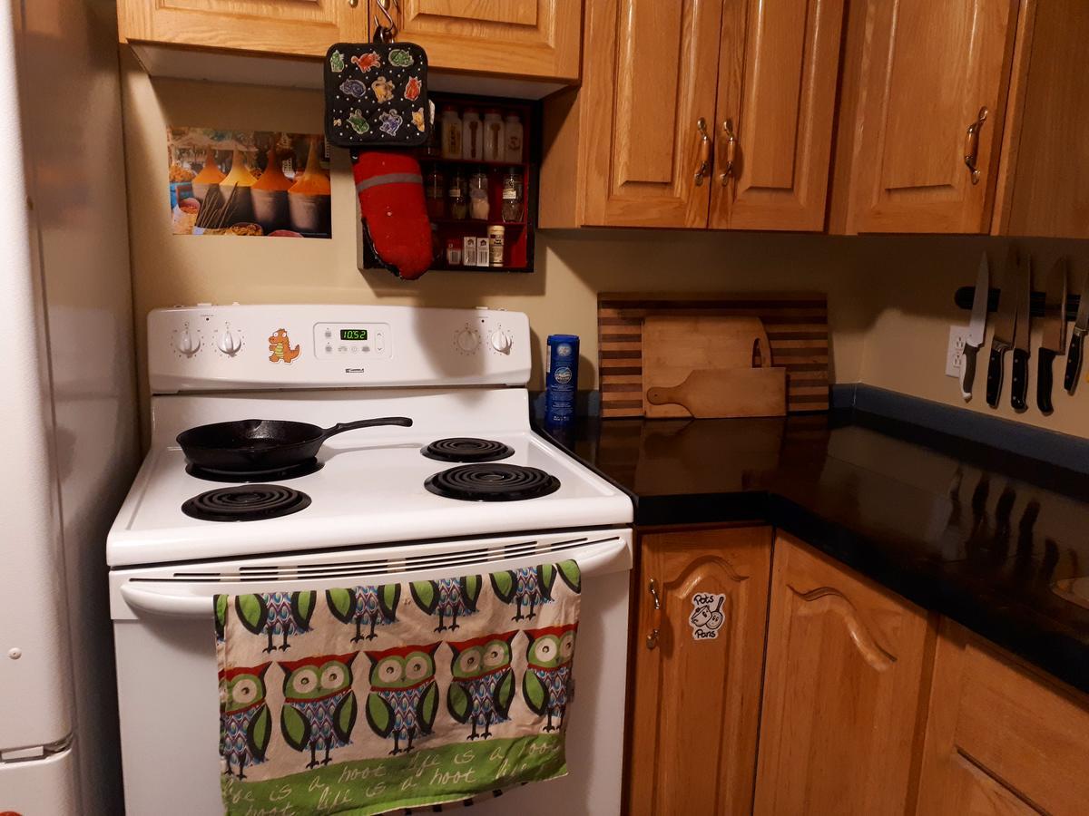 Bert Bark Inn Hostel Saint Andrews 외부 사진